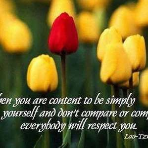 Meet your Posher, Patty